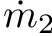 $ \dot{m}_2 $