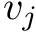 $ v_j $