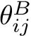 $ \theta_{ij}^{B} $