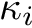 $\kappa_i$