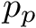 $ p_p $