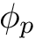 $ \phi_p $