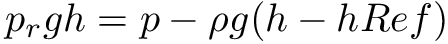 \[ p_rgh = p - \rho g (h - hRef) \]